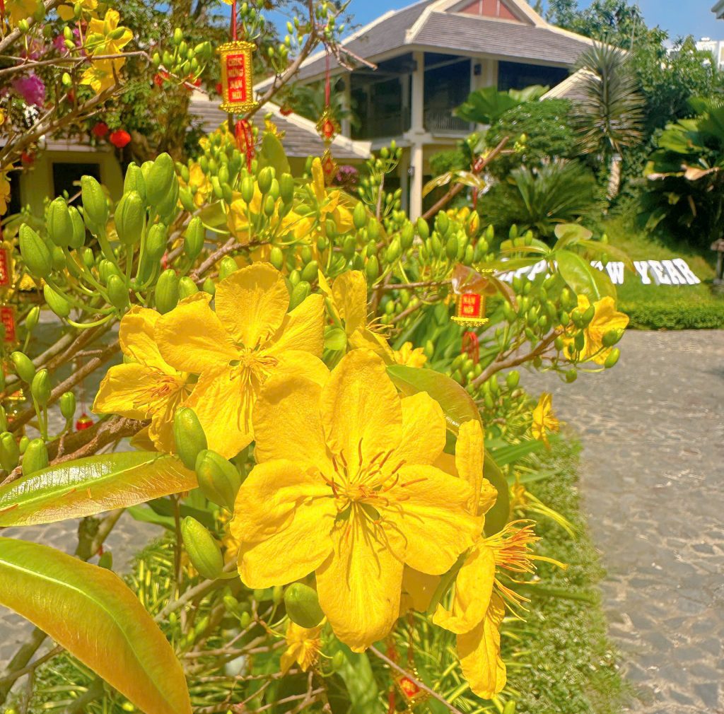 Hotel Phu Quoc