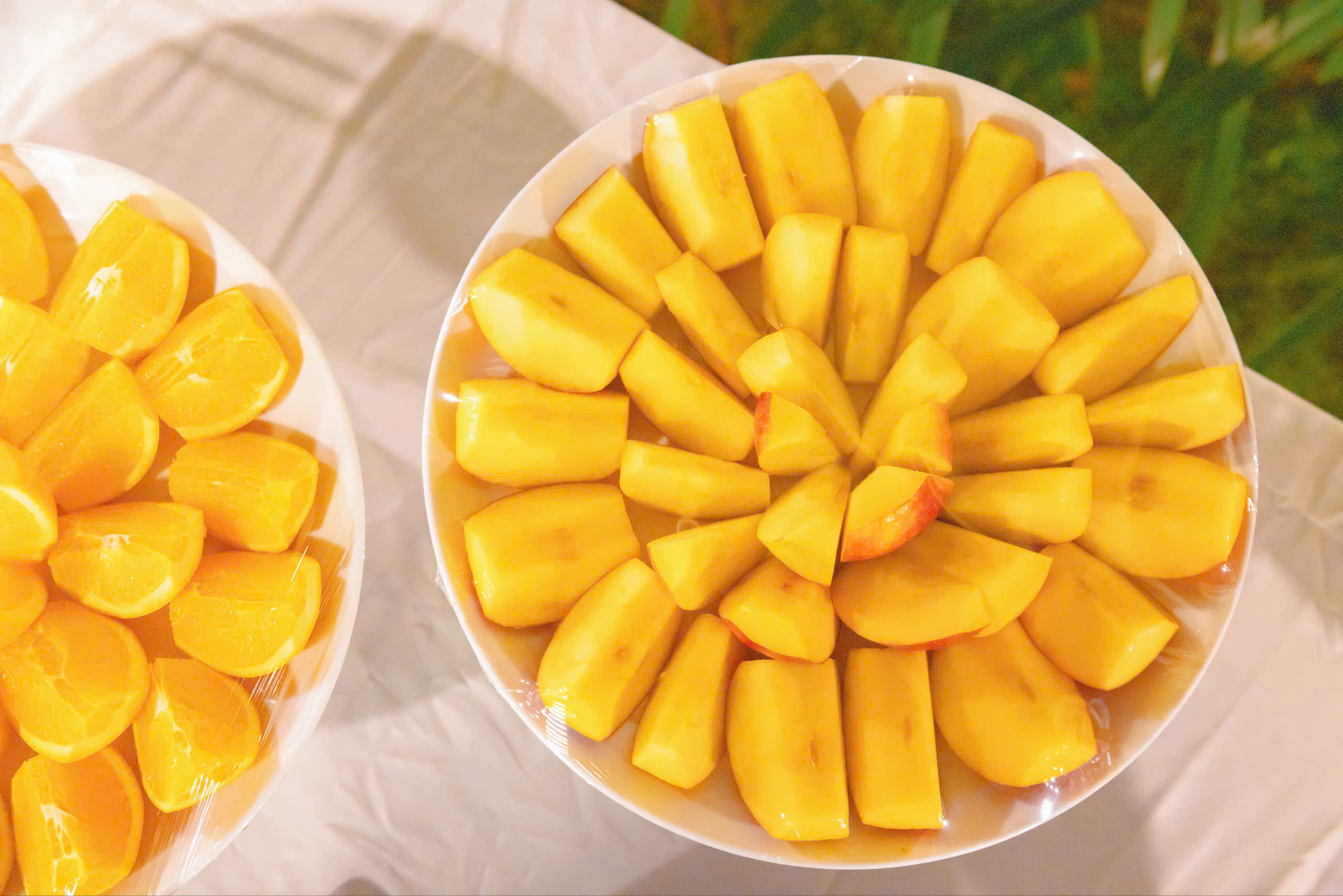 Khách Sạn Phú Quốc